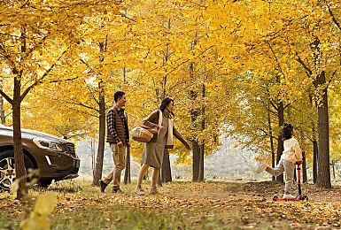 虚幻5免费大逃杀游戏《Off the Grid》实机预告片