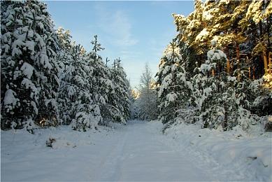 《星刃》之父金亨泰晒出女主最初设计 好在伊芙瘦了